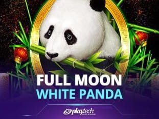 Full Moon_ White Panda™ game thumbnail